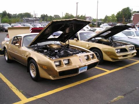 1994 Pontiac Firebird “wrpspd”