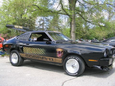 1978 Ford Mustang II - This car features a distinctive snake skin graphic and a cobra head on the fender.