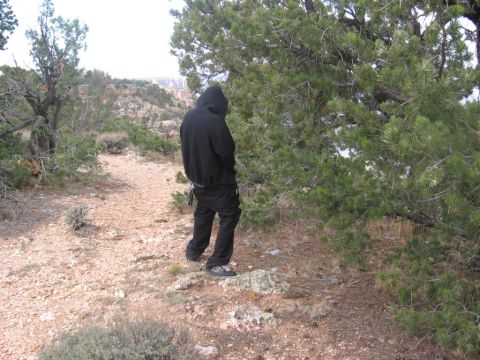 1995 Ford Probe - Person urinating behind a tree in a desert landscape with rocky ground and sparse vegetation.