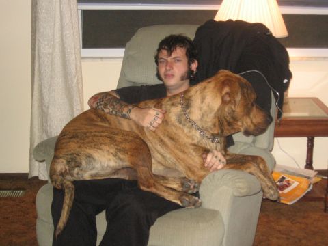 1995 Ford Probe - A man sits in a chair with a large dog resting on his lap.