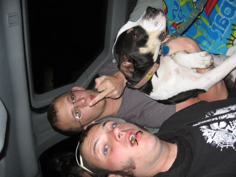 1995 Ford Probe - A dog rests on people inside a vehicle at night.