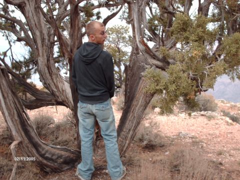 1995 Ford Probe - A man stands near a weathered tree in a desert landscape, with a visible date stamp of 02/11/2005.