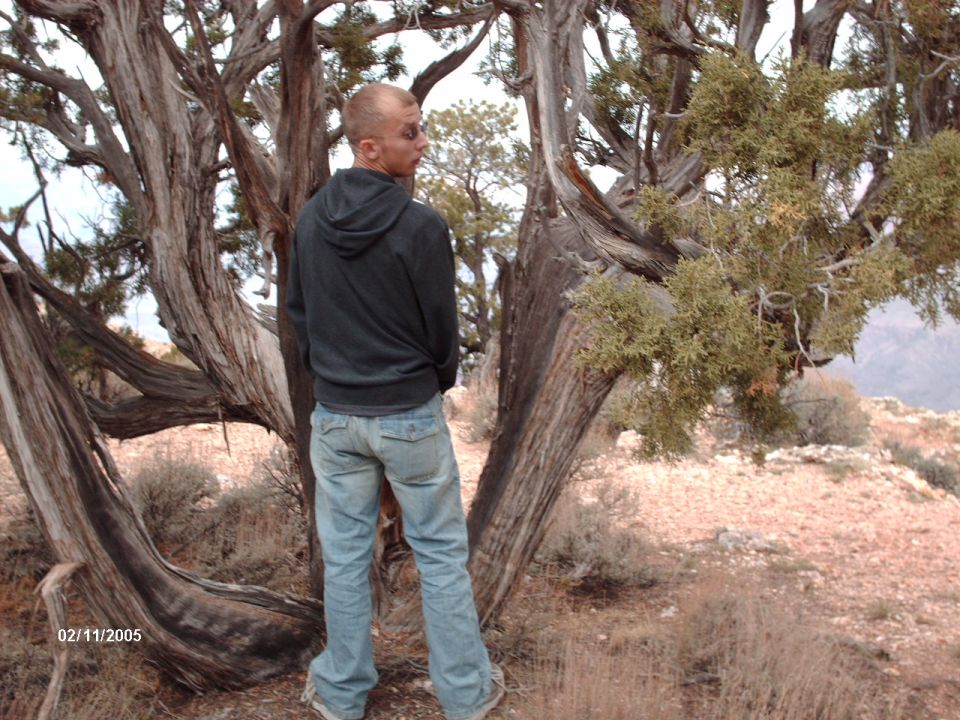 guy in hoodie and jeans by a gnarly tree in a dry, rocky area. Watermark says SUPERMOTORS