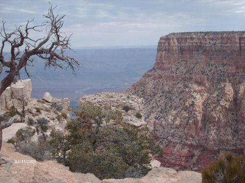 1995 Ford Probe - View of the Grand Canyon from a rocky overlook, with a dead tree on the left.