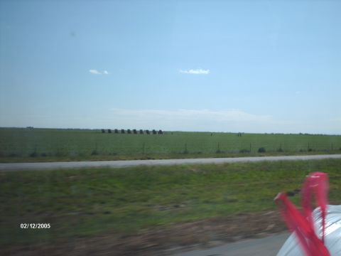 1995 Ford Probe - 10 cadi's burried in the ground for no reason....hell ya