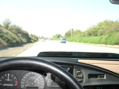 1993 Ford Taurus - Driving on a highway with green foliage on the sides and other vehicles visible in the distance.