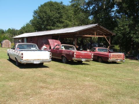 1972 Ford Ranchero - Three Ford Rancheros are parked on a grassy field in front of a rustic barn.