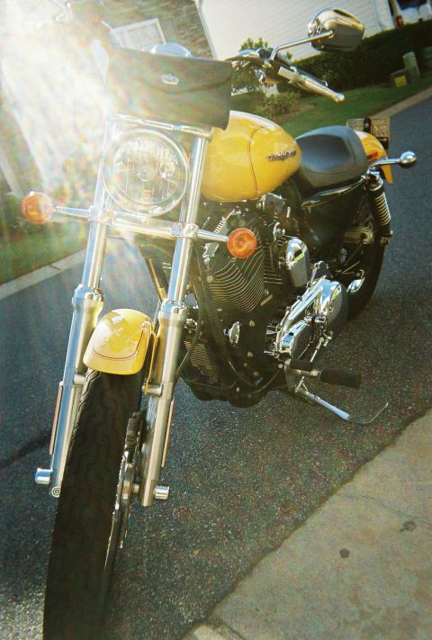 2006 Harley-Davidson Sportster Custom “Sin D Sue”