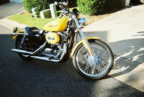 2006 Harley-Davidson Sportster Custom “Sin D Sue”