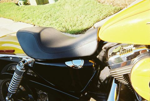 2006 Harley-Davidson Sportster Custom “Sin D Sue”