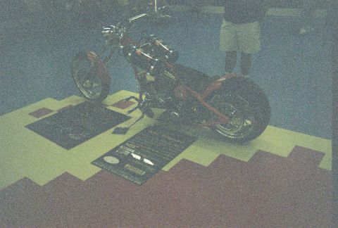 2006 Harley-Davidson Sportster Custom “Sin D Sue”