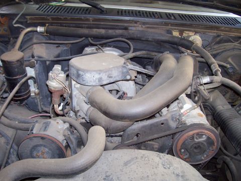 1985 Ford Bronco - Close-up view of a vehicle's engine bay, showing various hoses, belts, and engine components.