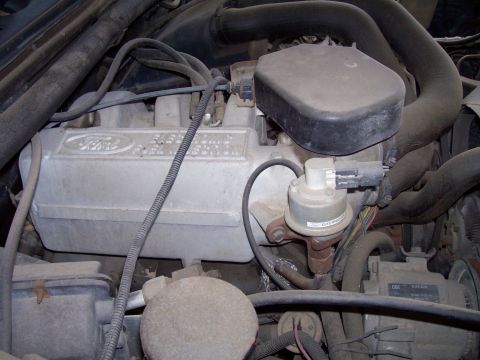 1985 Ford Bronco - Engine bay detail showing Ford branding on the valve cover.