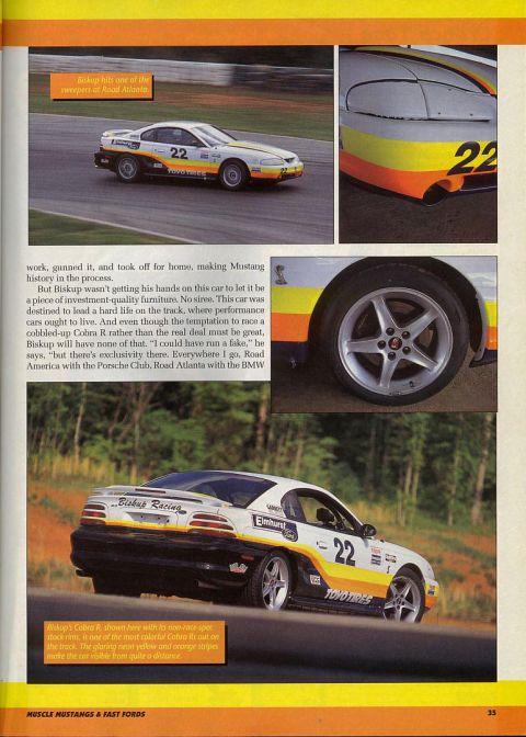 1995 Ford Mustang - A 1995 Ford Mustang race car with distinctive racing livery is captured in motion on a track.