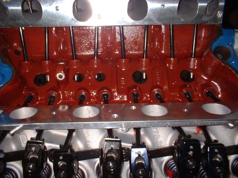 1969 Ford Mustang - Close-up view of an engine's internal components, showing the valve train with pushrods and rocker arms.