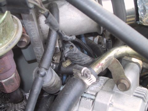 1994 Ford Bronco - Close-up view of engine components, including hoses and wiring, with visible text on a part.