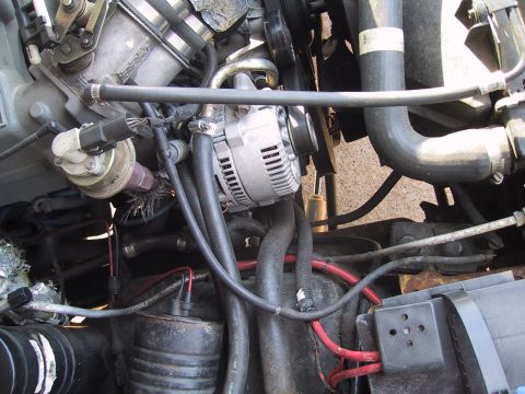 1994 Ford Bronco - Engine bay detail with alternator, various hoses, and wiring visible.