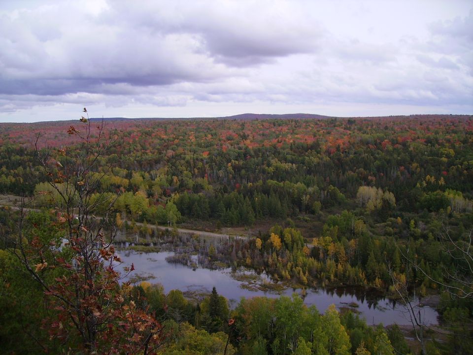 Overlooking a lake and forest with autumn colors. A road is visible near the water