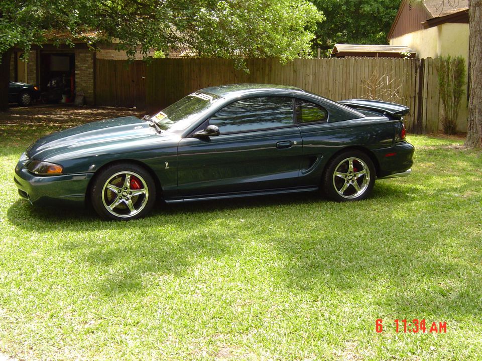 Our Last Stang we had,A 94 GT done to clone a Cobra.Clean car....