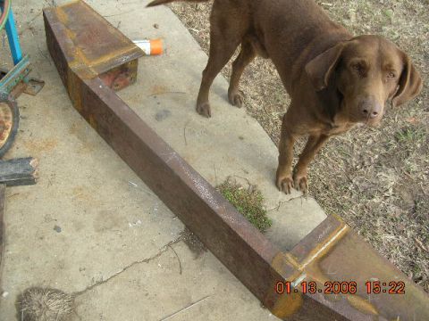1991 Ford F-150 - A rusty metal bumper lies on concrete, accompanied by a brown dog. The image includes a date and time stamp.