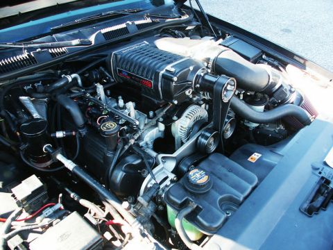 2001 Mercury Grand Marquis - Close-up view of a modified V8 engine a large black supercharger and various hoses and belts.