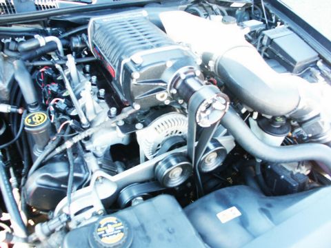 2001 Mercury Grand Marquis - Close-up view of a supercharged engine, likely from a performance vehicle, with visible belts and pulleys.