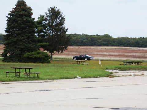 2001 Mercury Grand Marquis - A black coupe with white wheels is seen driving on a grassy field with trees and picnic tables in the foreground.