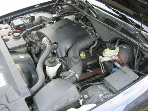 1999 Ford Crown Victoria - Engine bay of a 1999 Ford Crown Victoria, showing the V8 engine and associated components.
