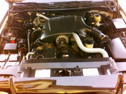 1999 Ford Crown Victoria photo