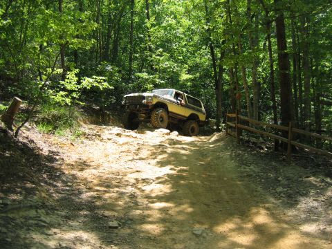 1992 Ford Mustang - An off-road vehicle navigates a challenging trail surrounded by dense forest.