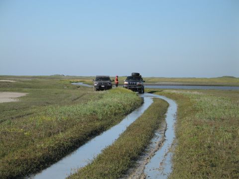 1995 Ford Bronco - Two full-size 4x4s stopped at the end of a flooded two-track cutting through a coastal salt marsh under a clear blue sky, viewed head-on fr…