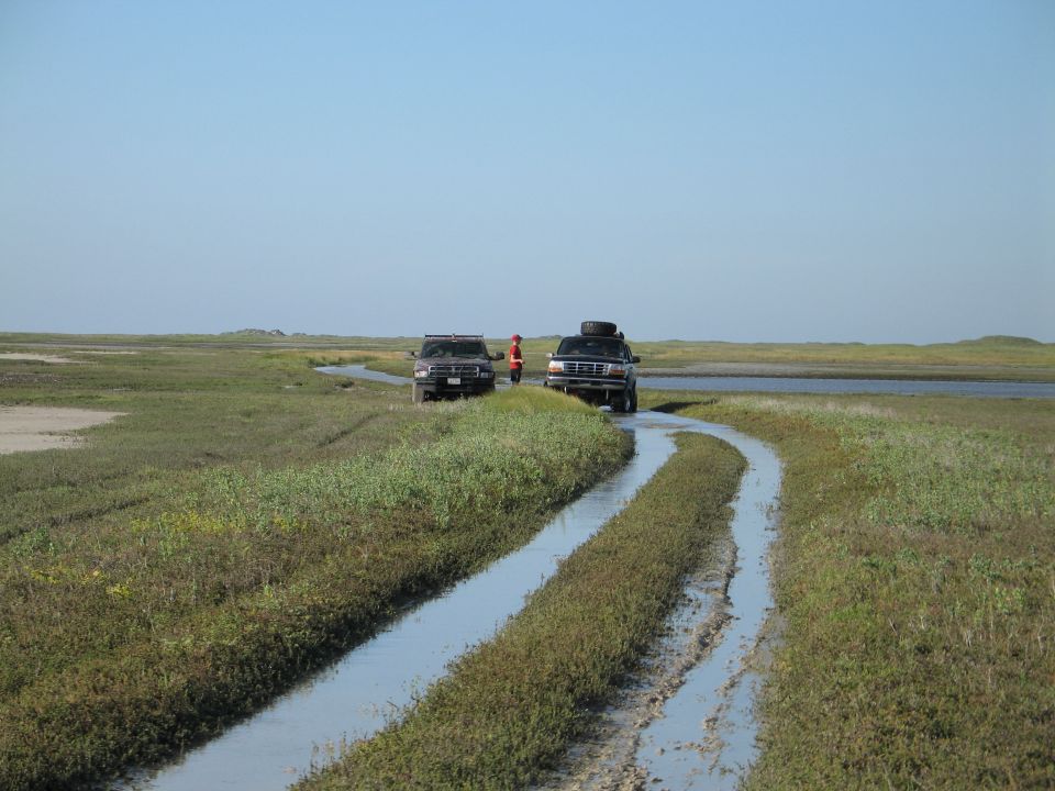 Dark Ford Bronco with roof spare and second truck at end of flooded marsh two-track