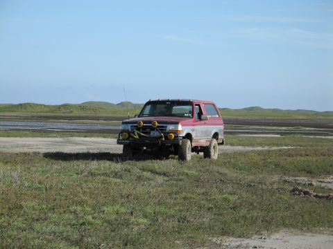 1995 Ford Bronco - A lifted red 1990s Ford Bronco full-size SUV sits on large mud-terrain tires in an open grassy wetland, with a front brush guard, yellow-co…