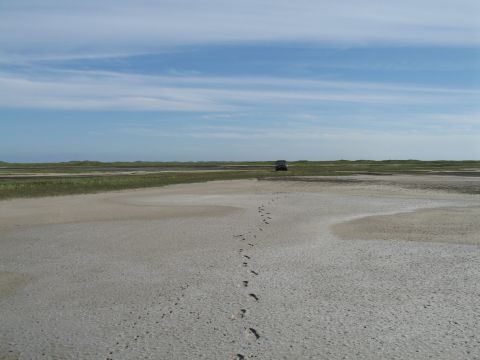 1995 Ford Bronco - Wide landscape shot of a flat sand and mud tidal flat under a blue sky with wispy clouds, a single line of footprints leading away from the…