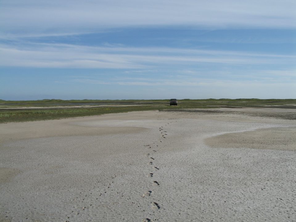 Dark SUV parked in distance on flat sand tidal flat with footprints leading to it