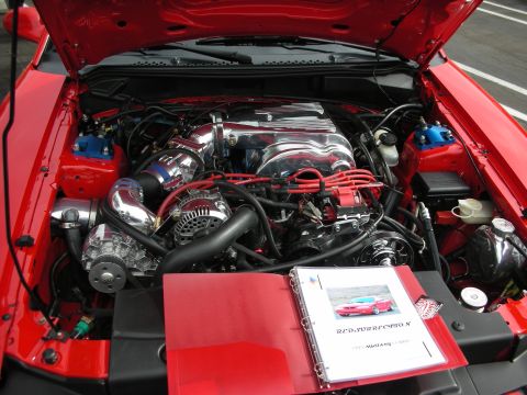 1992 Ford Crown Victoria - Detailed view of a modified 1995 Ford Mustang GT engine bay, custom chrome components and red accents.
