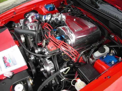 1992 Ford Crown Victoria - The engine bay of a red vehicle features a polished intake manifold and vibrant red spark plug wires.