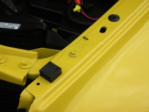 1992 Ford Crown Victoria - A bug landed on the yellow paint of a car's hood near a black electrical connector.