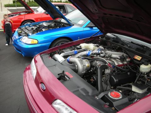 1992 Ford Crown Victoria - Multiple vehicles are displayed with their hoods open, their engines and modifications.