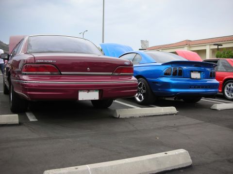 1992 Ford Crown Victoria - Two Ford sedans, a Crown Victoria and a Mustang Cobra, are parked in a lot with their hoods open.