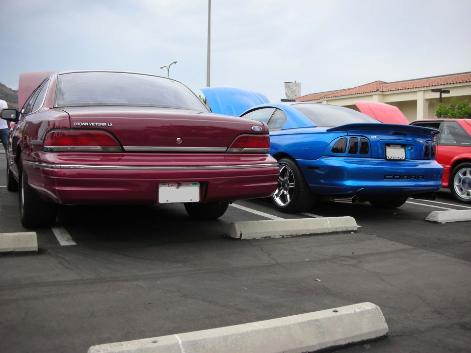 Maroon 1992 Ford Crown Victoria LX and blue Mustang Cobra parked side-by-side. Hoods are up on both cars