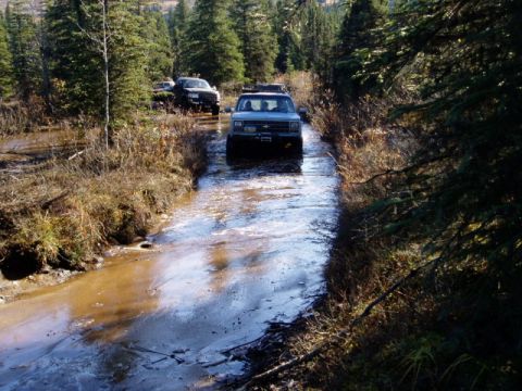 2000 Ford E350 - Multiple trucks navigate a muddy, water-filled trail surrounded by dense forest.