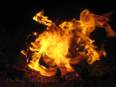 1990 Ford Bronco - vivid burst of campfire flames against black darkness, with a TheWebWheeler.com watermark.