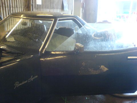 1972 Ford Ranchero - A dark 1972 Ford Ranchero Squire is seen from the side, with visible water spots and a dent on the door.