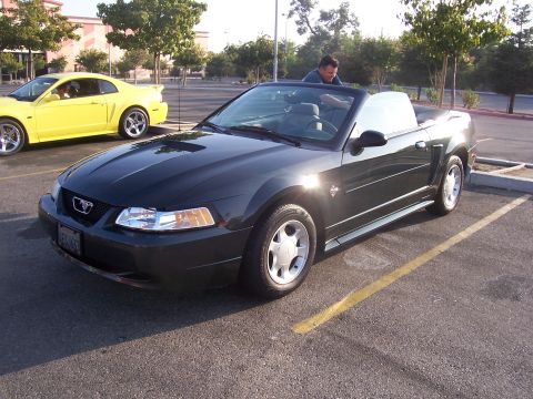 2002 Ford Mustang “02 Zinc Yellow GT”