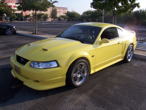 2002 Ford Mustang “02 Zinc Yellow GT”