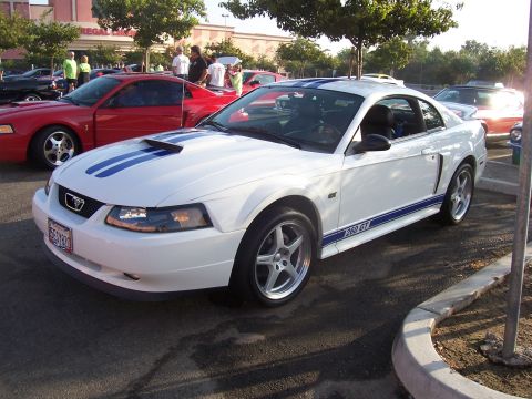 2002 Ford Mustang “02 Zinc Yellow GT”