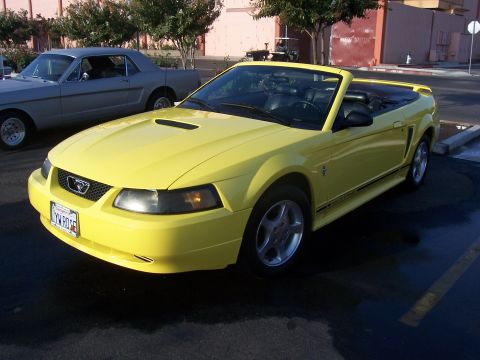 2002 Ford Mustang “02 Zinc Yellow GT”