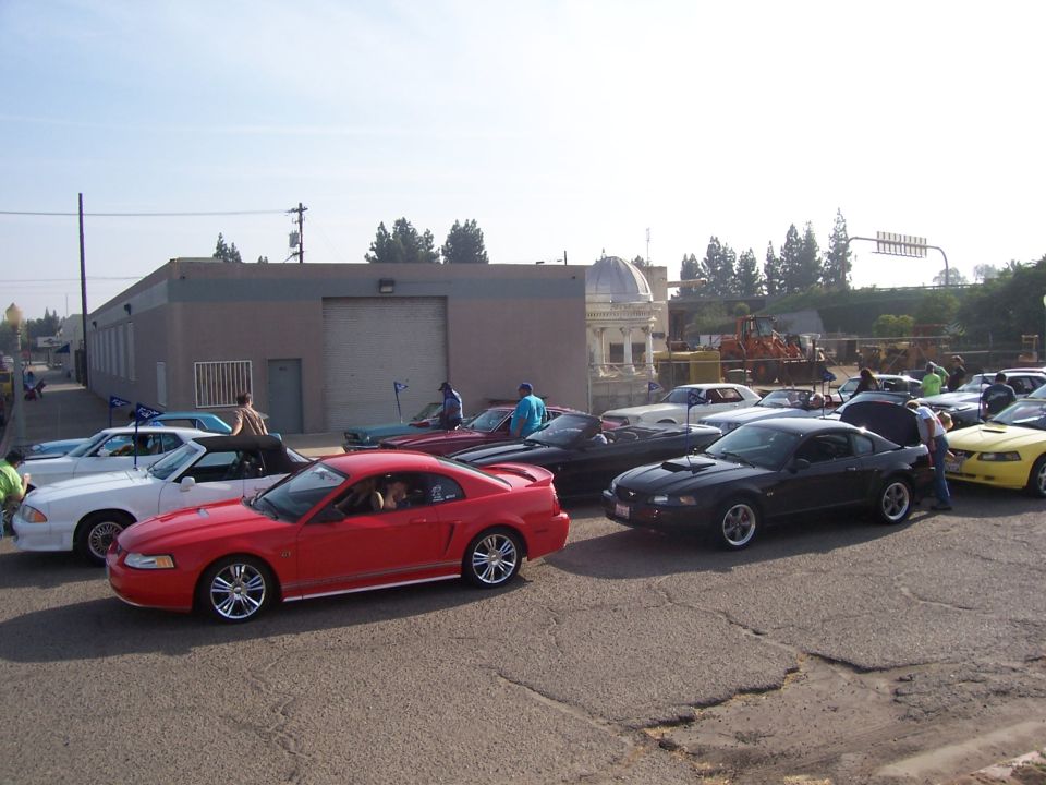 Red 2002 Ford Mustang coupe in foreground, black Mustang coupe with open trunk behind it, white Mustang convertible, and other Mustangs parked