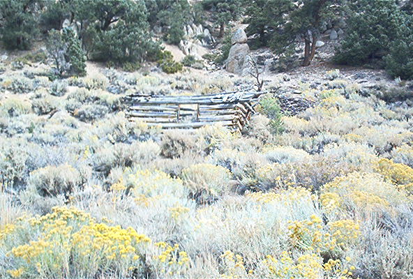 Log fence and dry brush in a hilly, arid landscape